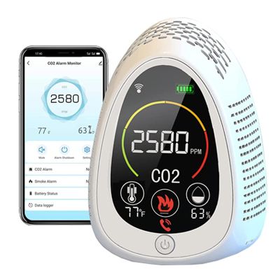 PT01 Combo CO2 & Smoke Alarm Detector